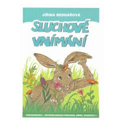 Sluchové vnímání